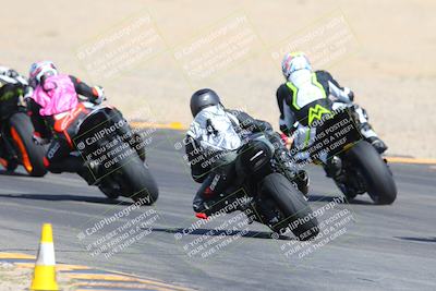 media/Mar-10-2024-SoCal Trackdays (Sun) [[6228d7c590]]/9-Turn 8 Backside (1150am)/